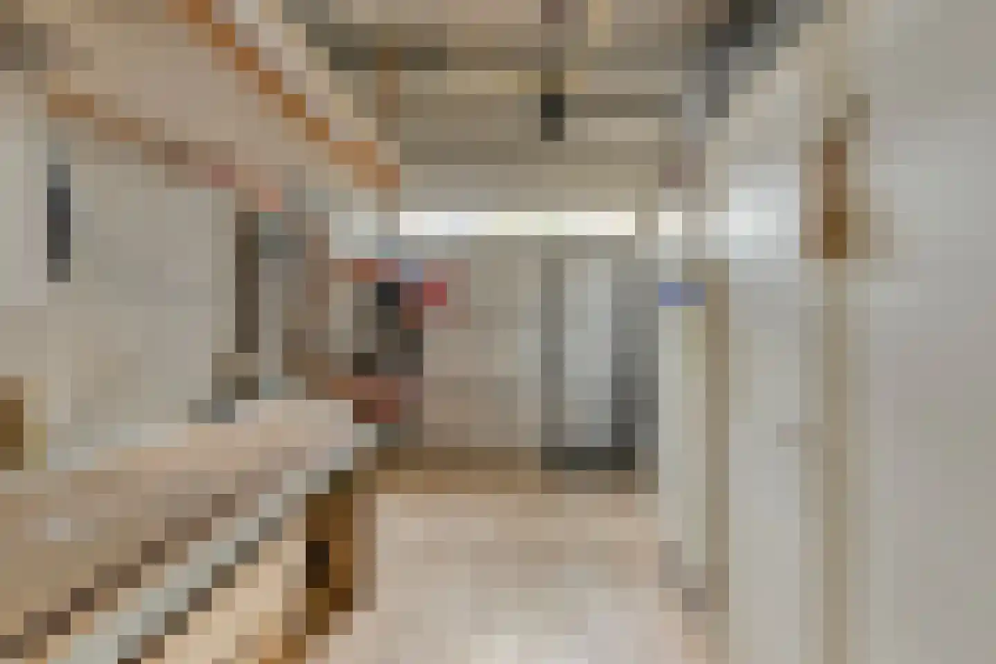 Eysenbrand 7 Moergestel thumbnail 54