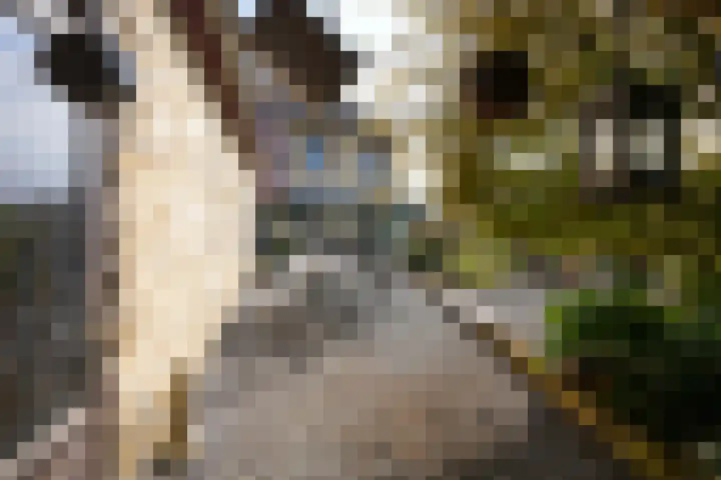 Eyserbosweg 3 A Eys thumbnail 31