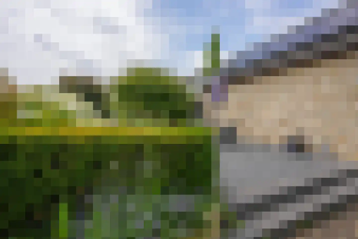 Eyserbosweg 3 A Eys thumbnail 35