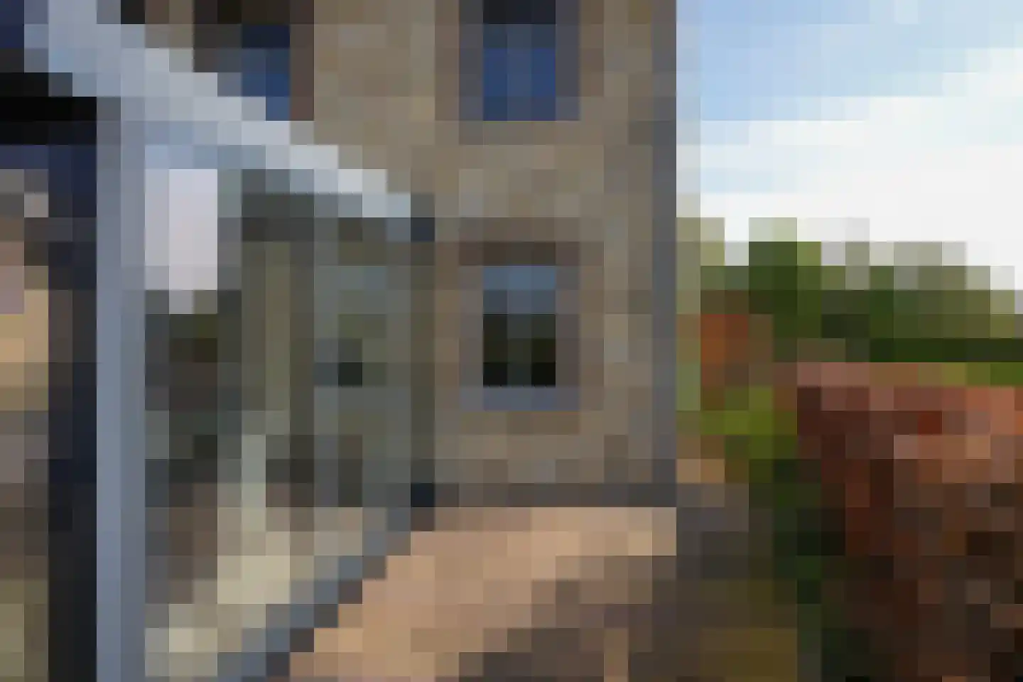 Eyserbosweg 3 A Eys thumbnail 36
