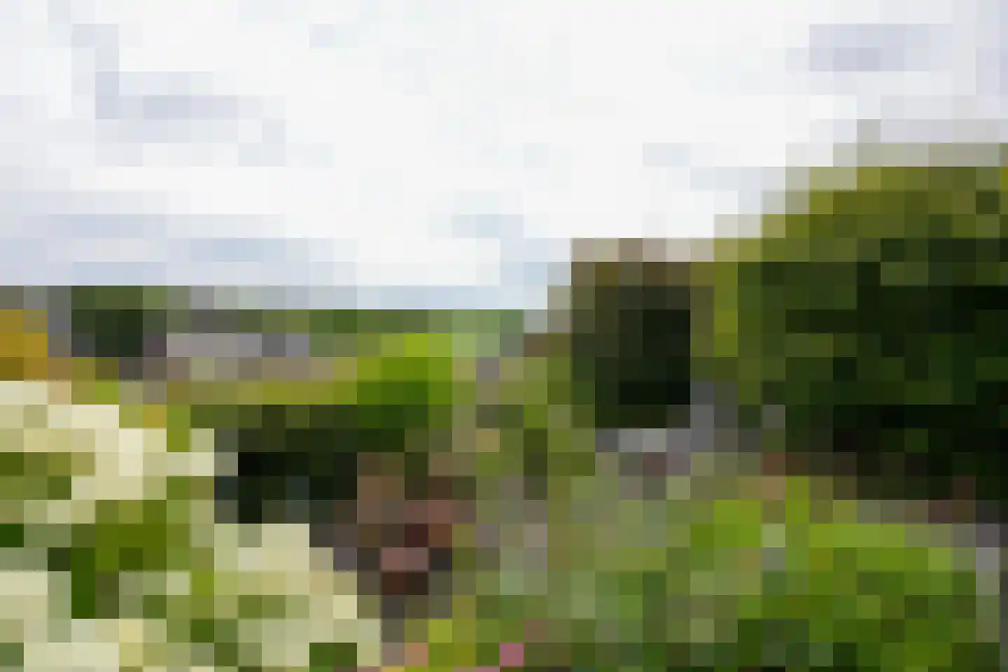 Eyserbosweg 3 A Eys thumbnail 41