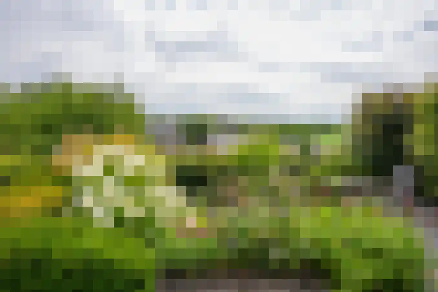 Eyserbosweg 3 A Eys thumbnail 42