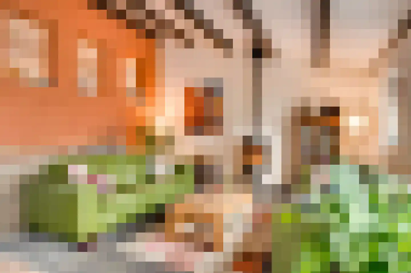 Eyserheide 27 Eys thumbnail 11