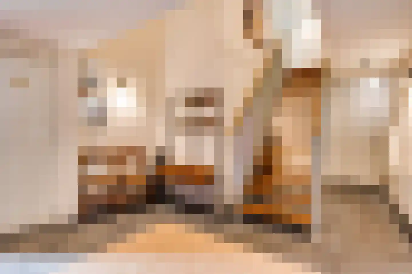 Eyserheide 27 Eys thumbnail 22