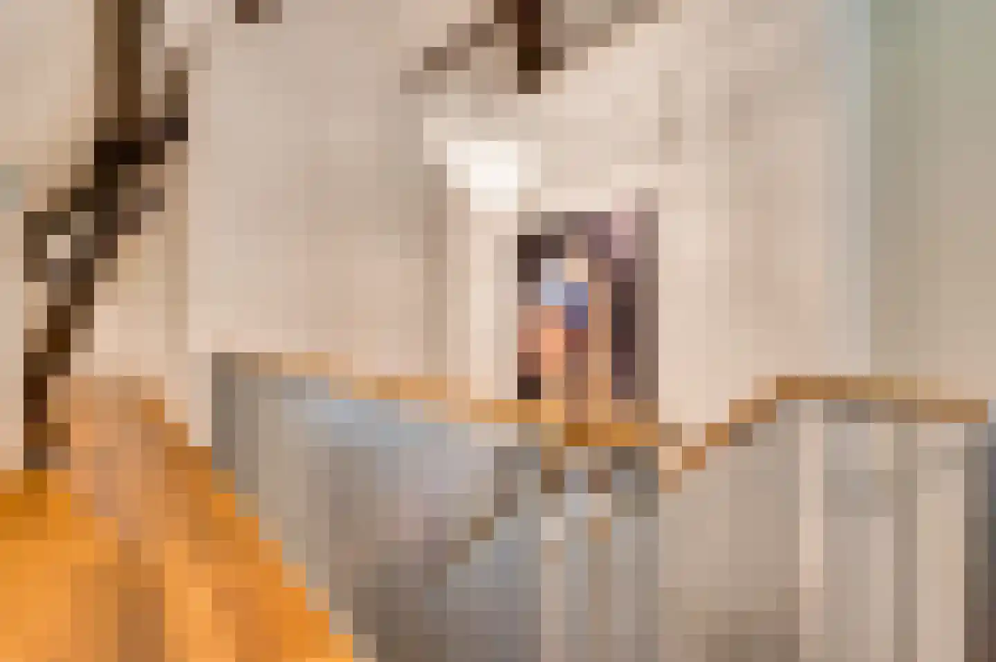 Eyserheide 27 Eys thumbnail 23
