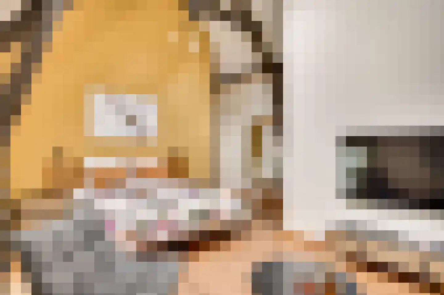 Eyserheide 27 Eys thumbnail 31