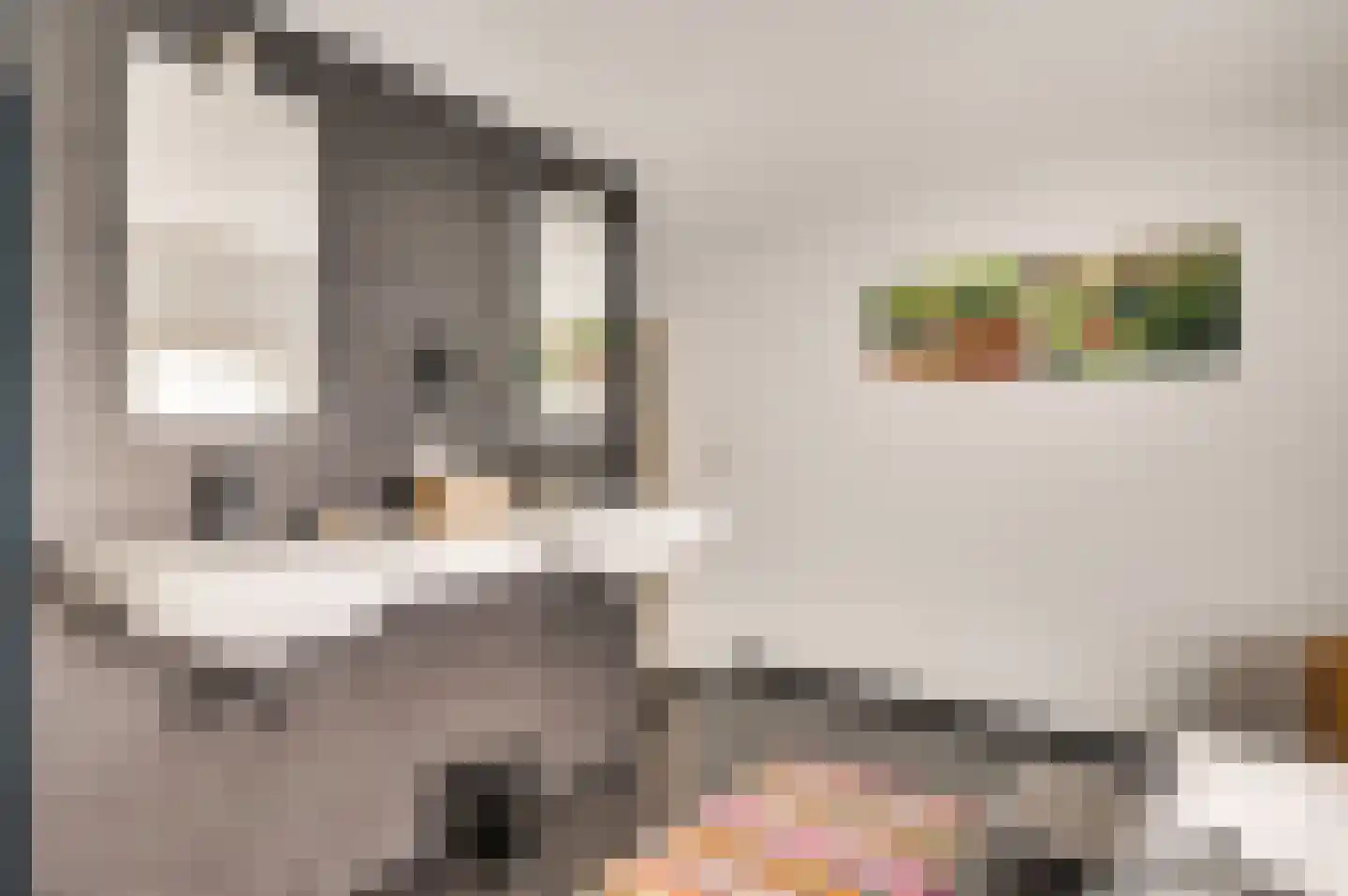 Eyserheide 27 Eys thumbnail 48