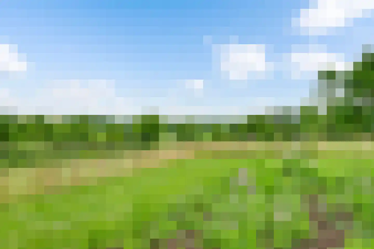 Eyserheide 27 Eys thumbnail 57