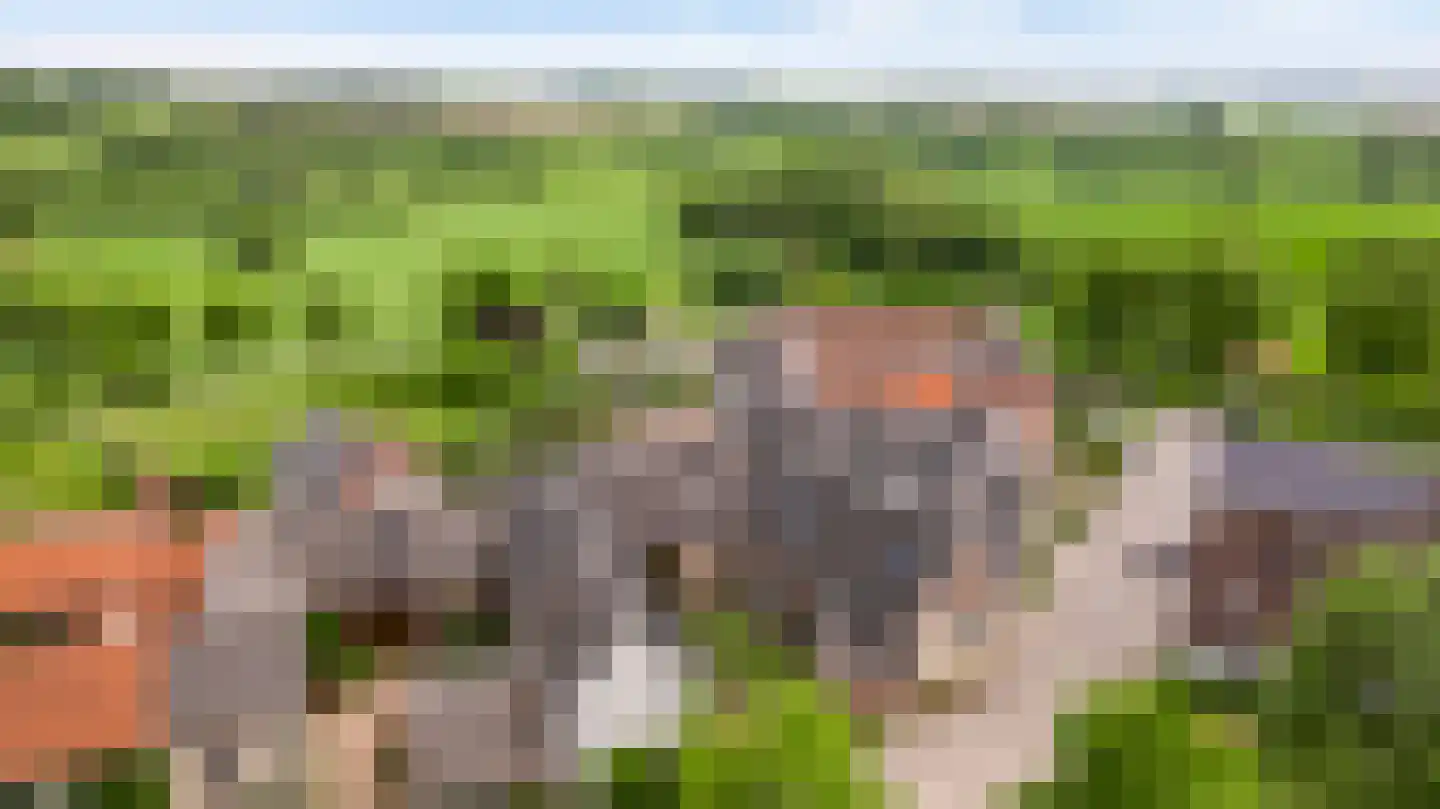 Eyserheide 27 Eys thumbnail 61