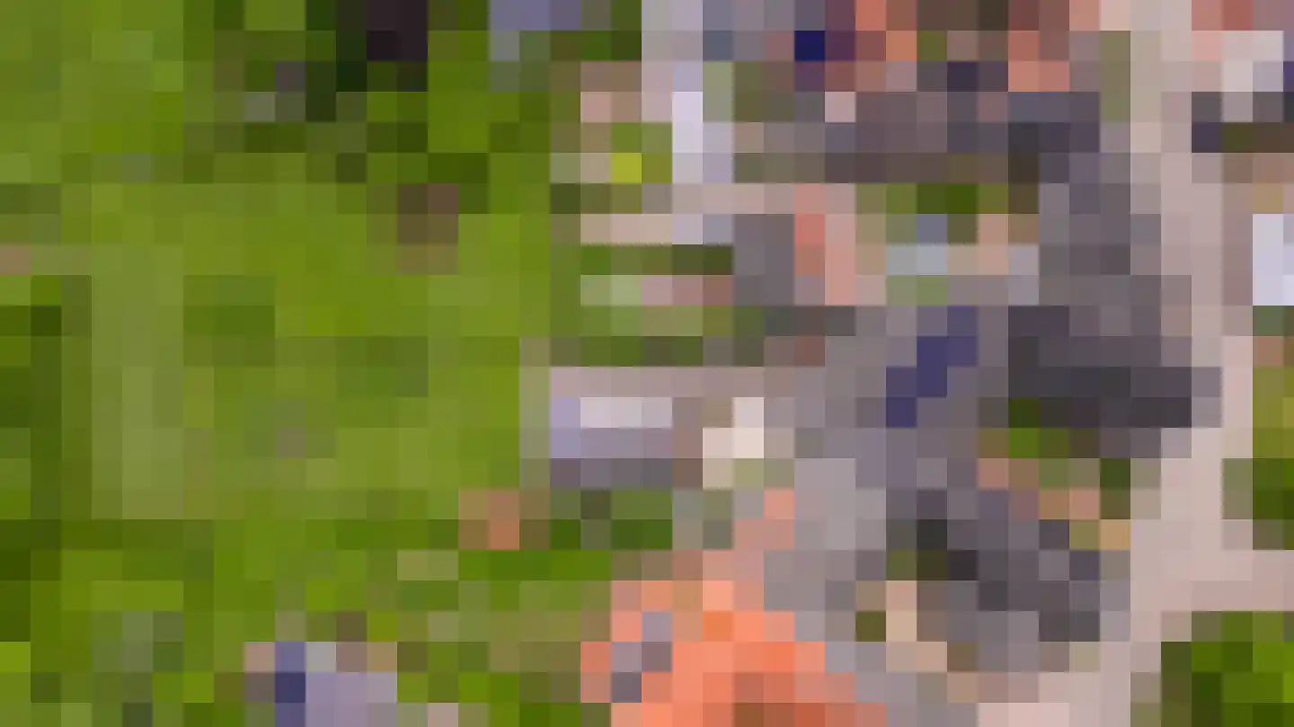 Eyserheide 27 Eys thumbnail 63
