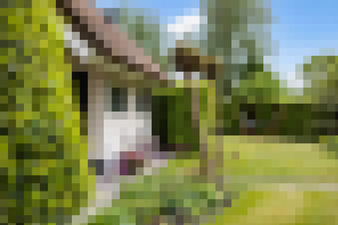 Eysinga-State 234 Sint Nicolaasga thumbnail 41