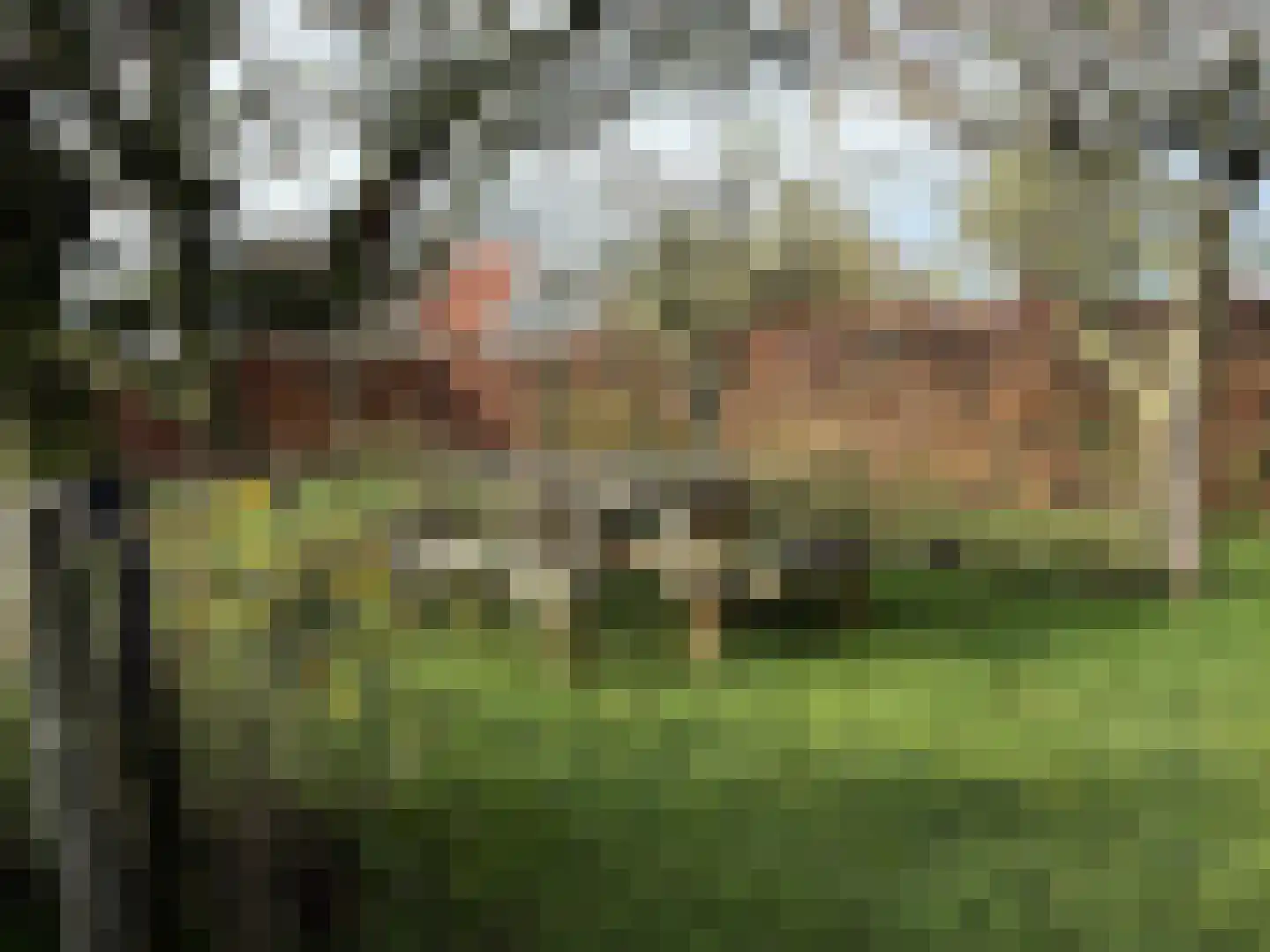 Eysinga-State 237 Sint Nicolaasga thumbnail 12