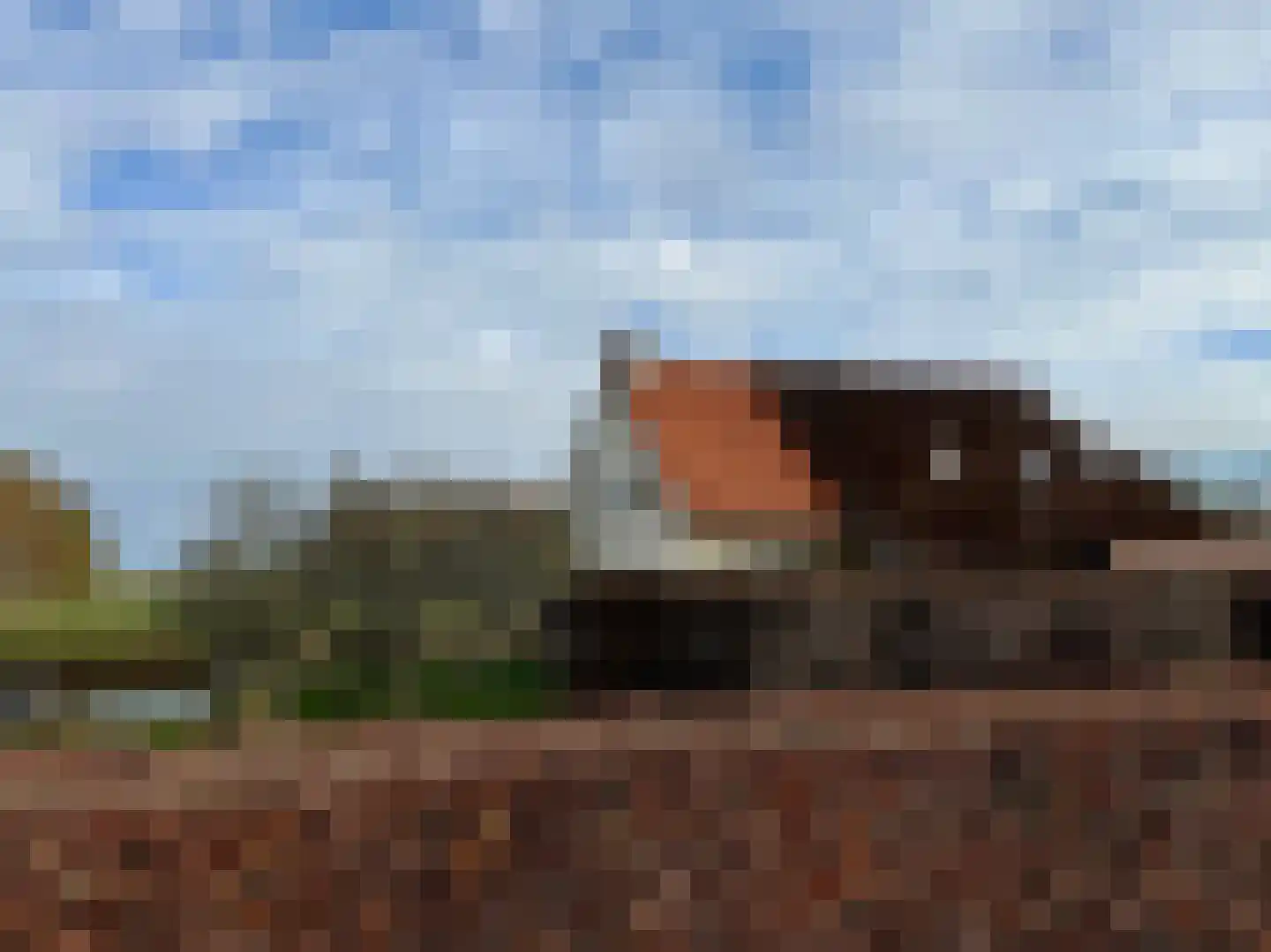 Eysinga-State 237 Sint Nicolaasga thumbnail 4