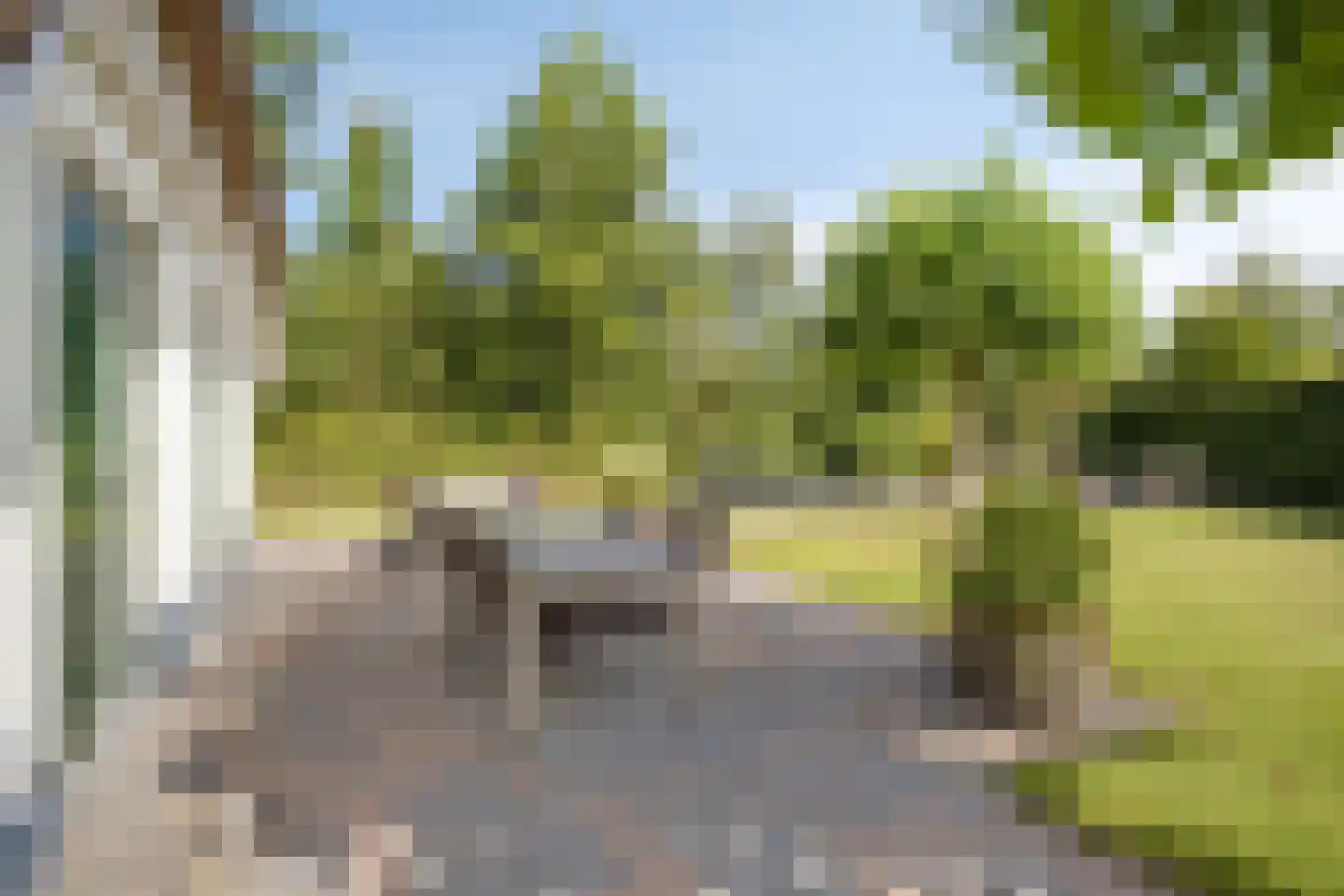 Eysinga-State 250 Sint Nicolaasga thumbnail 17