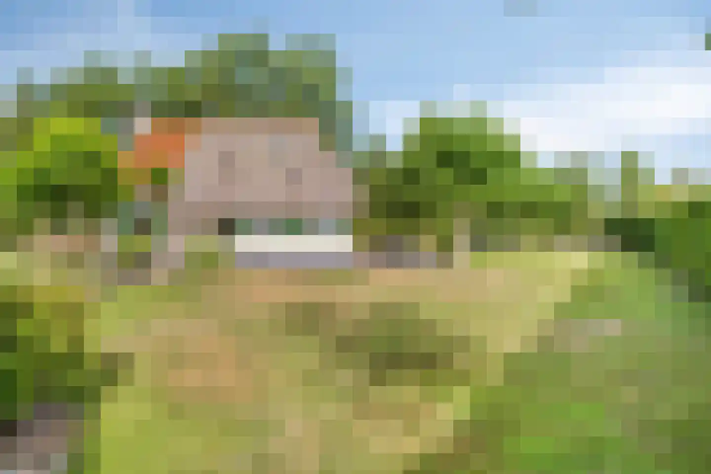 Eysinga-State 250 Sint Nicolaasga thumbnail 33