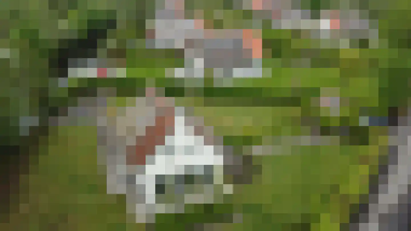 Eysinga-State 250 Sint Nicolaasga thumbnail 39