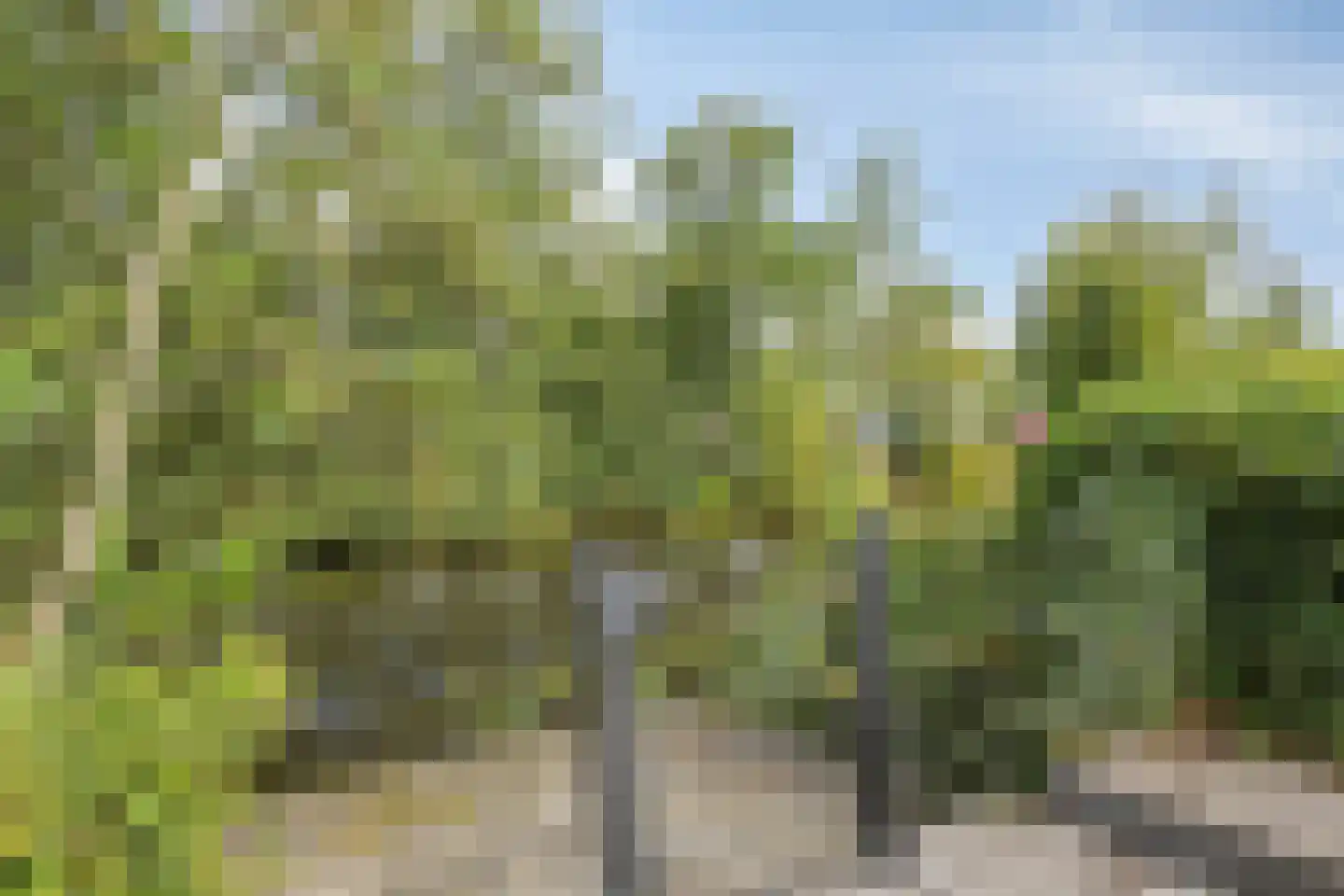 Eysinga-State 250 Sint Nicolaasga thumbnail 4