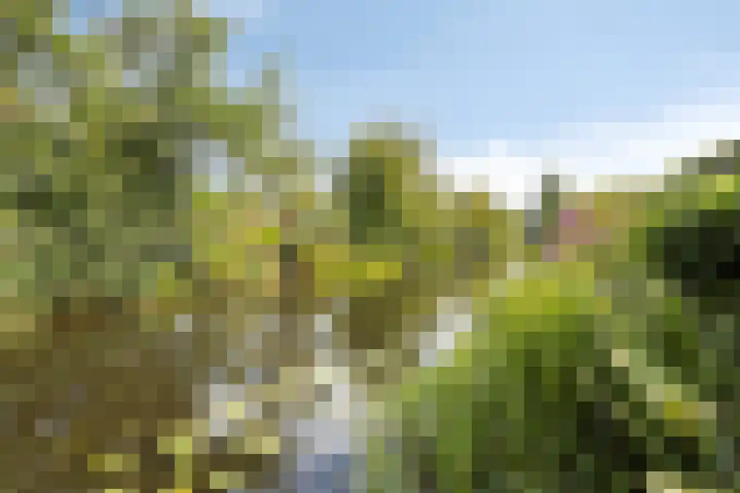 Eysinga-State 250 Sint Nicolaasga thumbnail 6