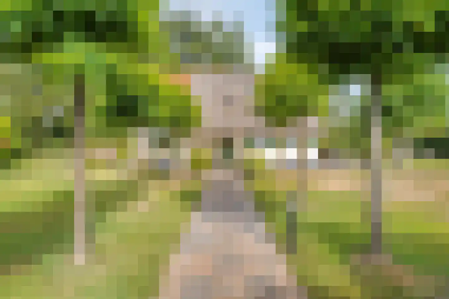 Eysinga-State 250 Sint Nicolaasga thumbnail 7