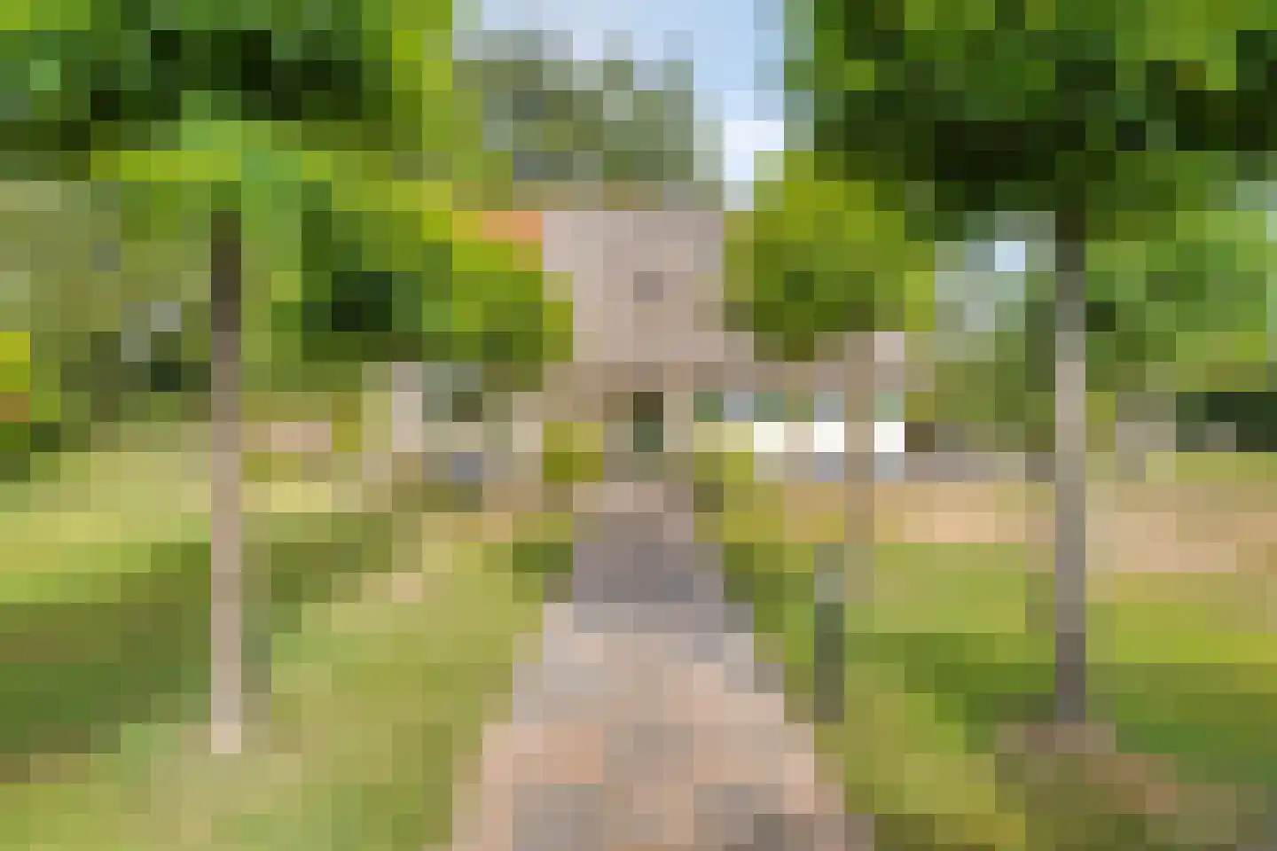 Eysinga-State 250 Sint Nicolaasga thumbnail 9