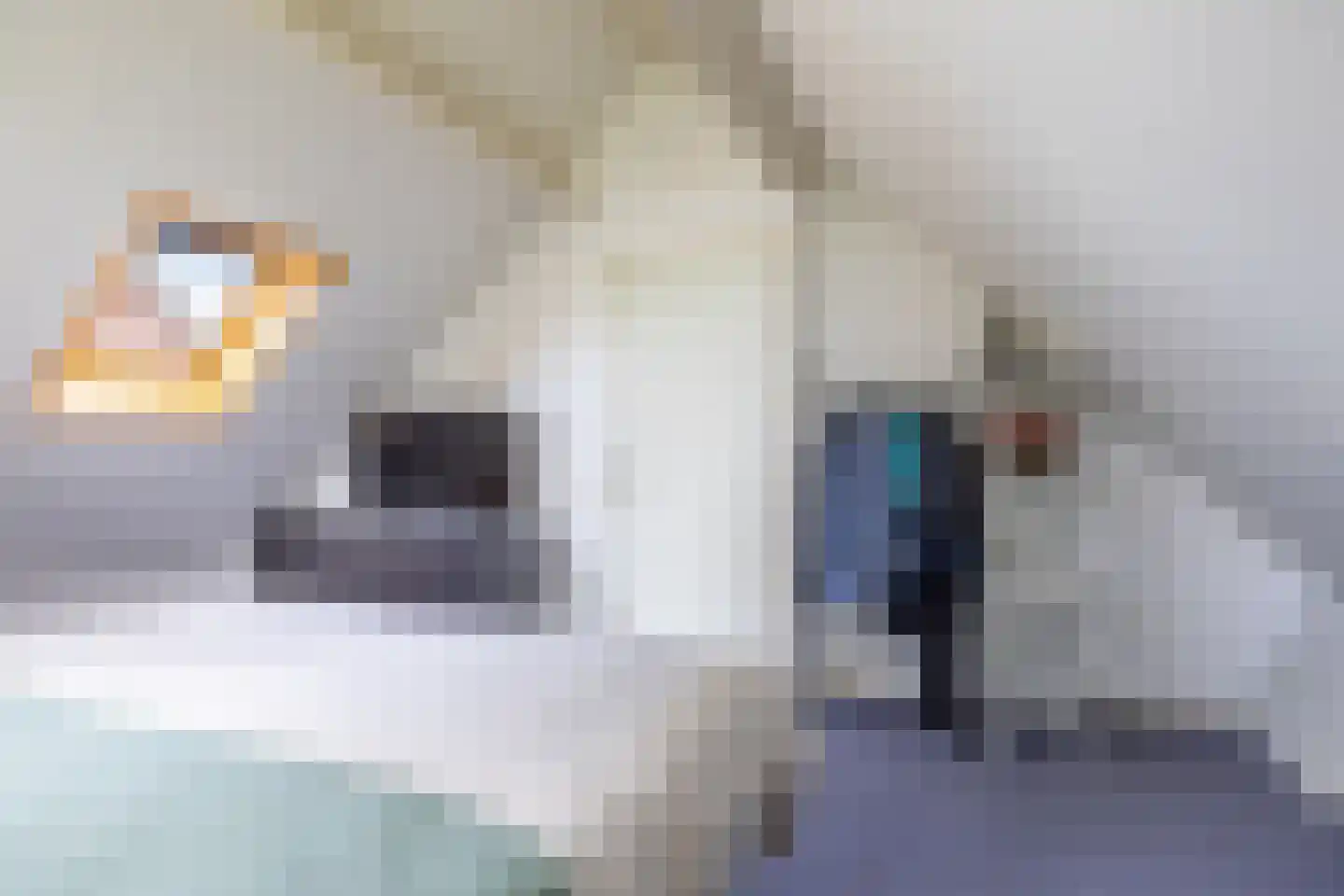 Eysingapad 36 Aldtsjerk thumbnail 32