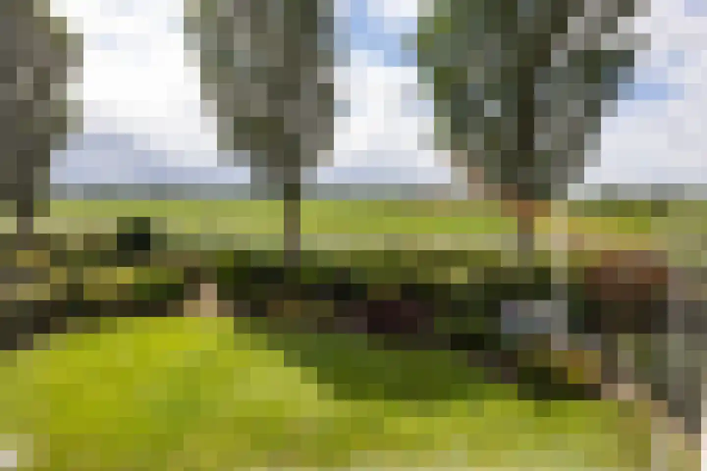 Eysingapad 36 Aldtsjerk thumbnail 33