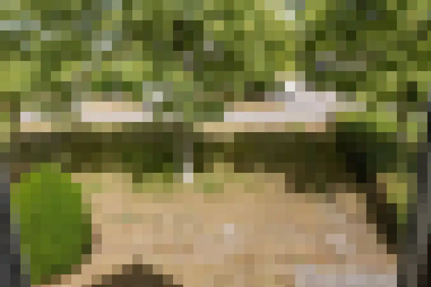 Eysingapad 36 Aldtsjerk thumbnail 36