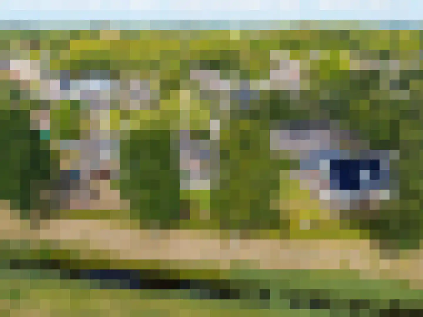 Eysingapad 36 Aldtsjerk thumbnail 52