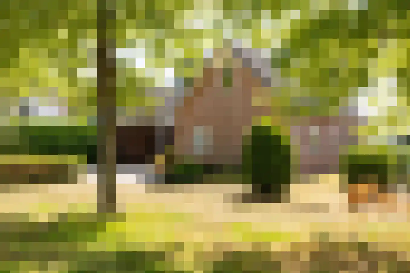 Eysingapad 36 Aldtsjerk thumbnail 9