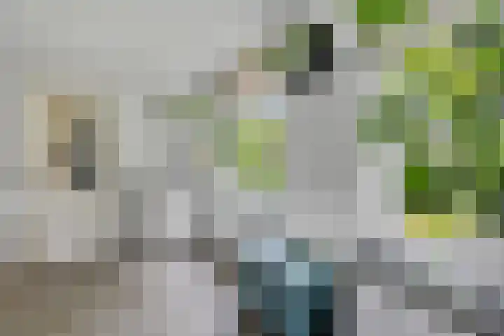 Eysingapad 4 Aldtsjerk thumbnail 10
