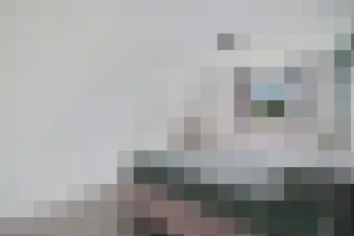 Eysingapad 4 Aldtsjerk thumbnail 22