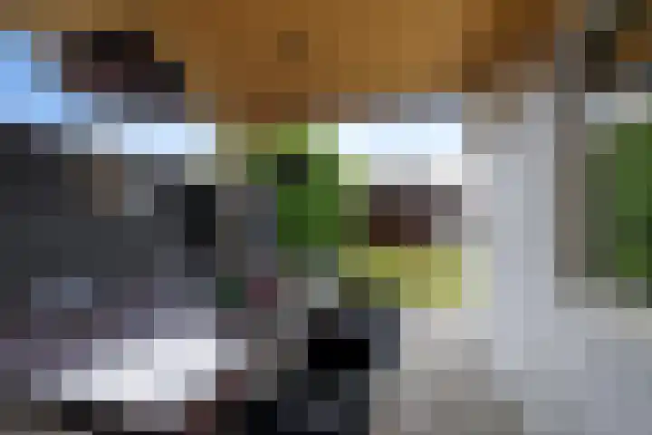Eysingapad 4 Aldtsjerk thumbnail 27