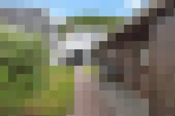 Eysingapad 4 Aldtsjerk thumbnail 31