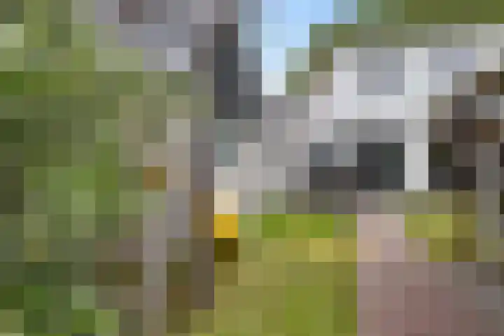 Eysingapad 4 Aldtsjerk thumbnail 32