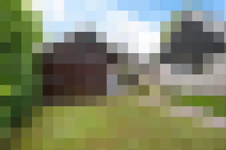 Eysingapad 4 Aldtsjerk thumbnail 33