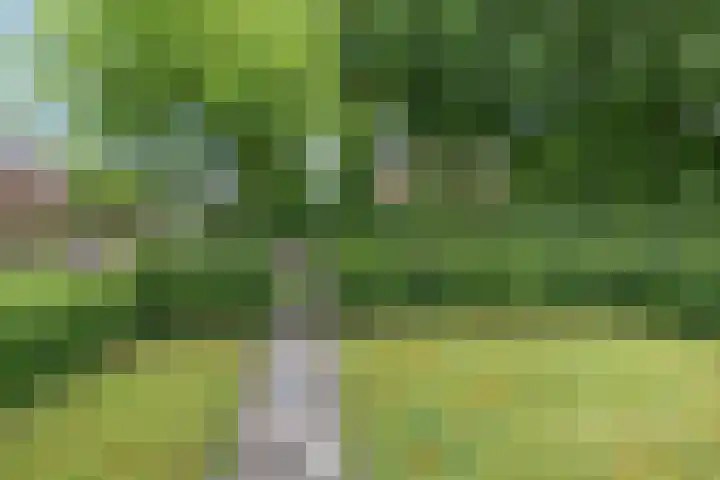 Eysingapad 4 Aldtsjerk thumbnail 36