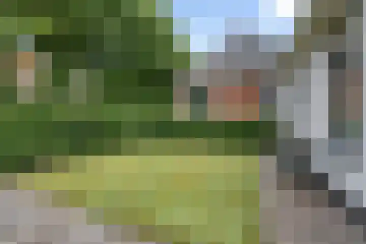 Eysingapad 4 Aldtsjerk thumbnail 39