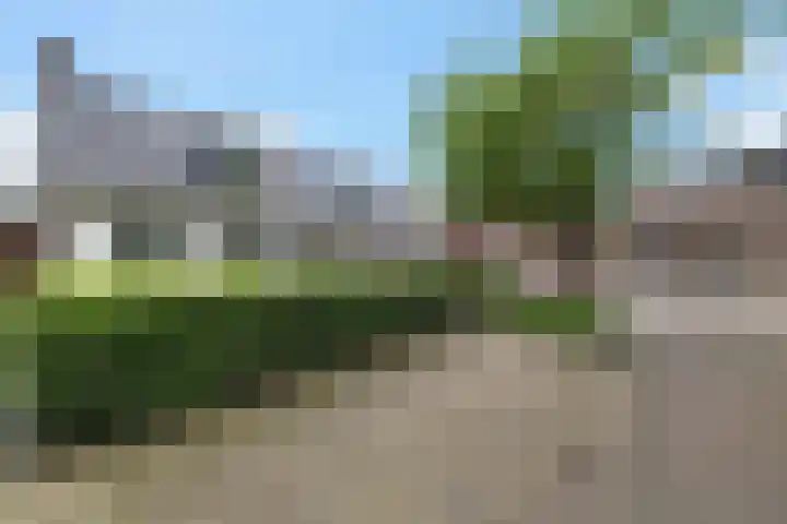 Eysingapad 4 Aldtsjerk thumbnail 42