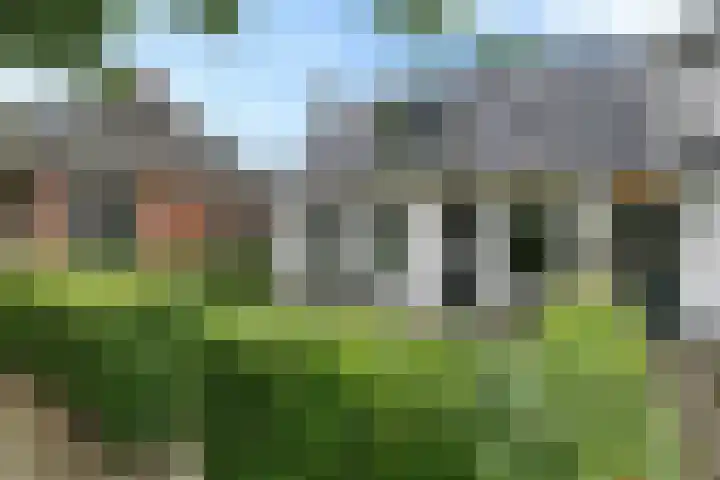 Eysingapad 4 Aldtsjerk thumbnail 43