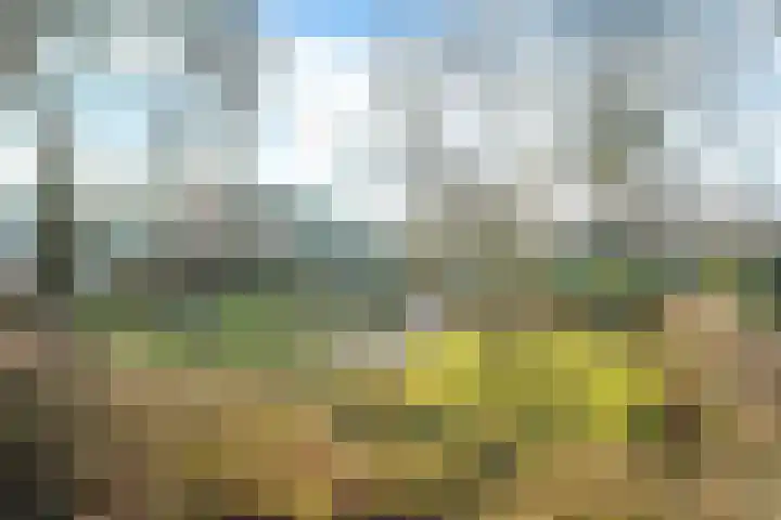 Eysingapad 41 Aldtsjerk thumbnail 31