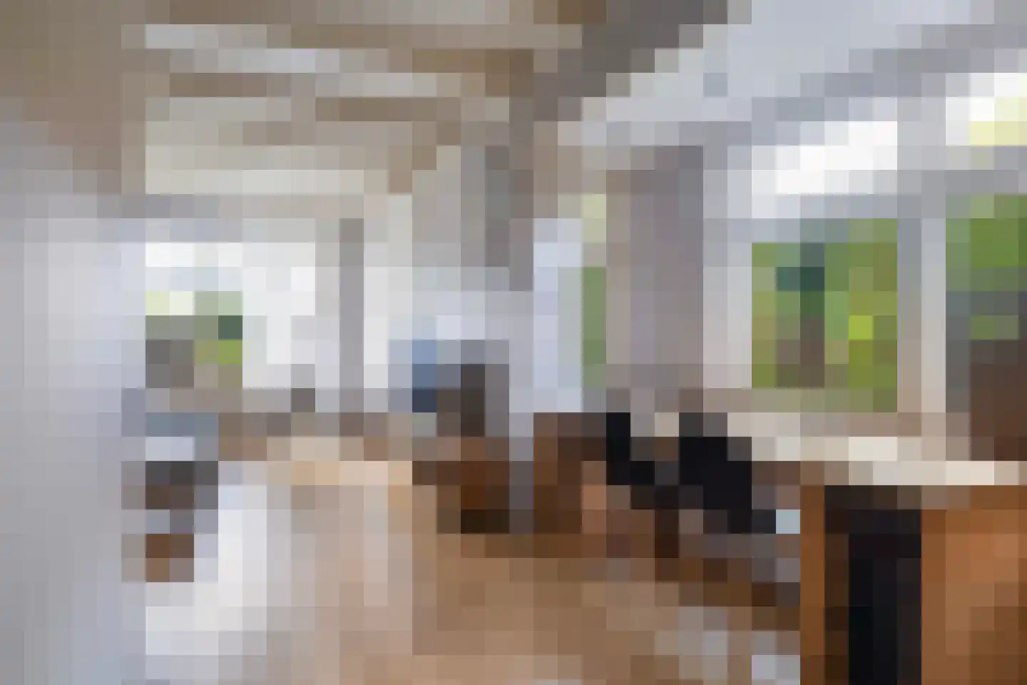 Eysingawei 1 Rinsumageast thumbnail 12