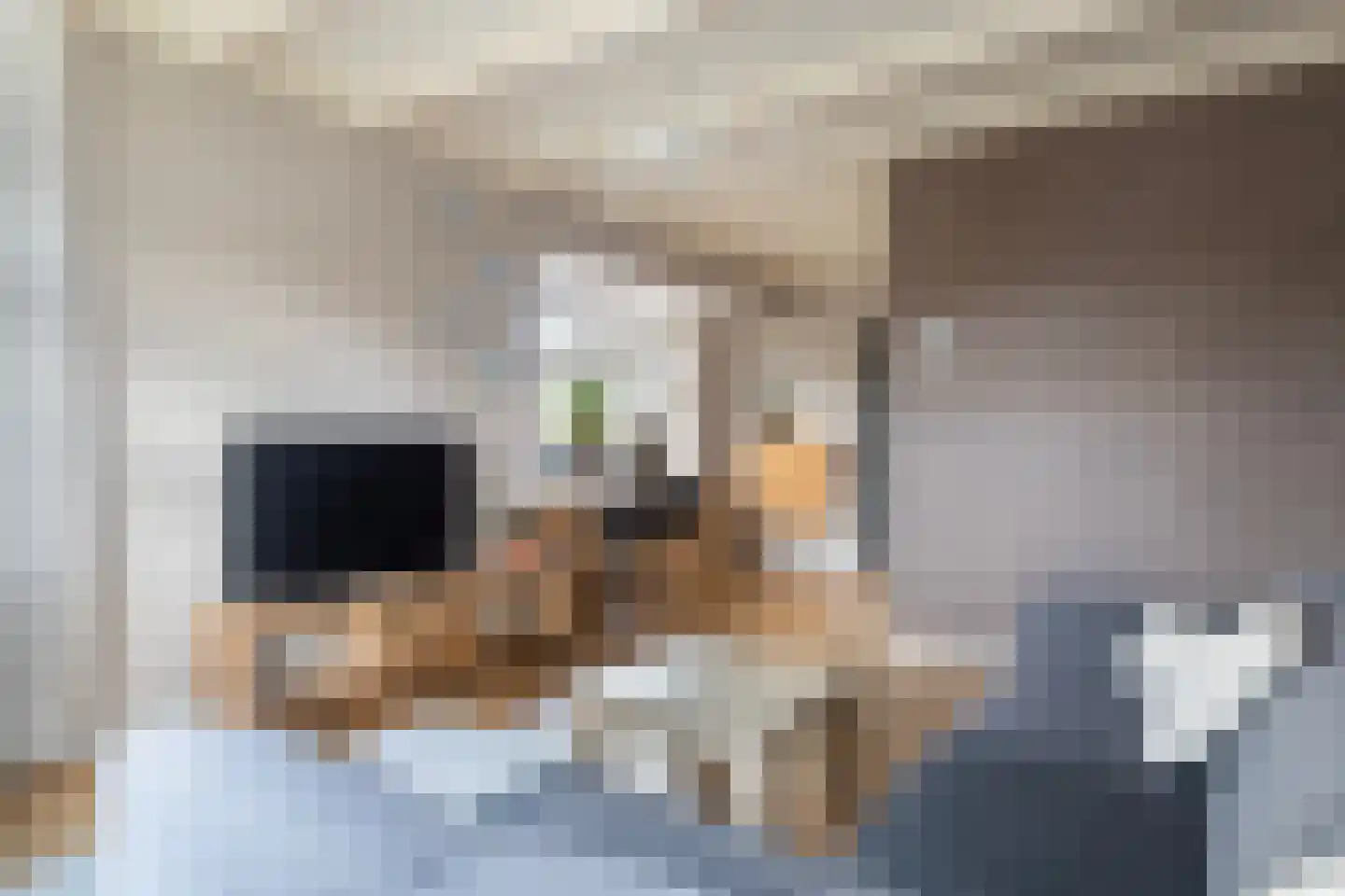 Eysingawei 1 Rinsumageast thumbnail 15