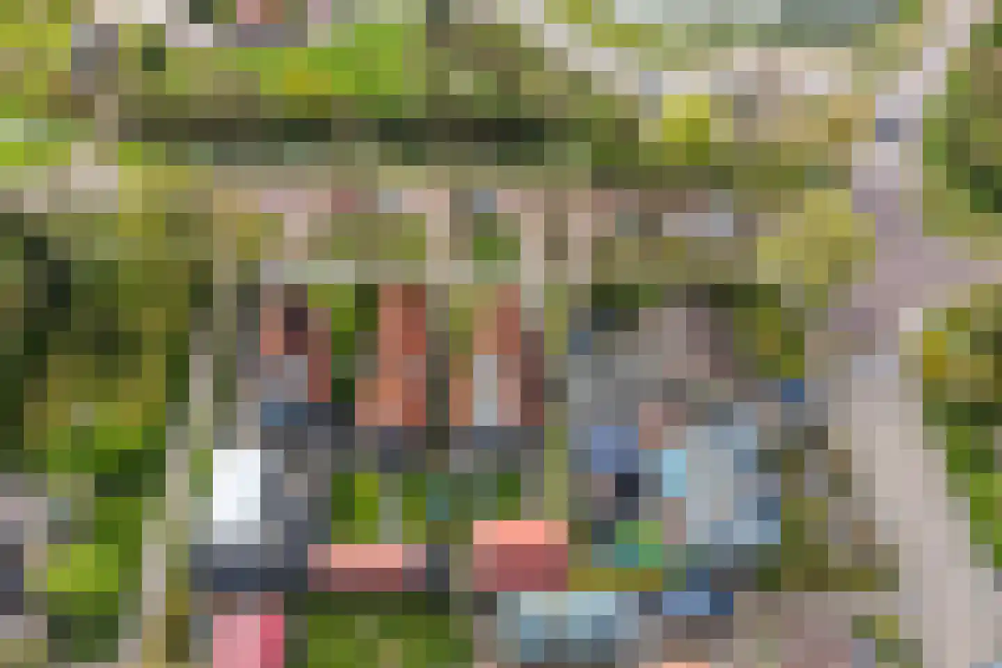 Eysingawei 1 Rinsumageast thumbnail 40