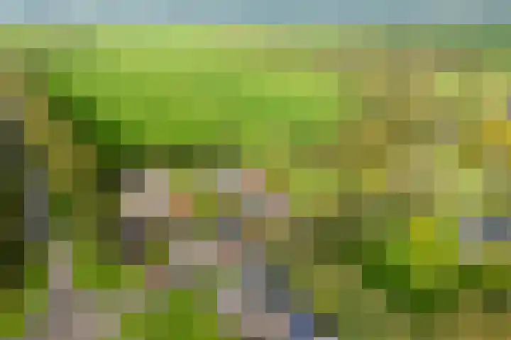 Eysingawei 13 en Rinsumageast