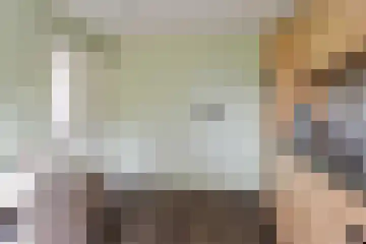 Eysingawei 13 Rinsumageast thumbnail 13