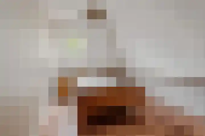 Eysingawei 13 Rinsumageast thumbnail 23