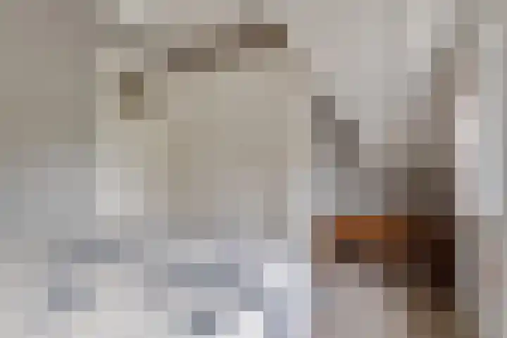 Eysingawei 13 Rinsumageast thumbnail 26