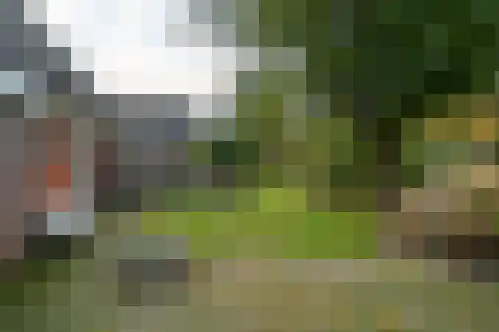 Eysingawei 13 Rinsumageast thumbnail 30