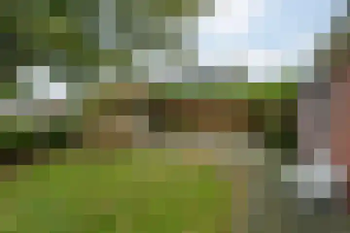 Eysingawei 13 Rinsumageast thumbnail 31