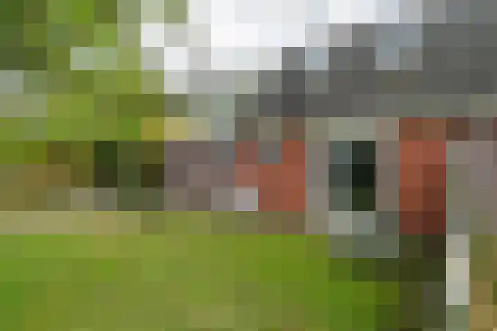 Eysingawei 13 Rinsumageast thumbnail 32